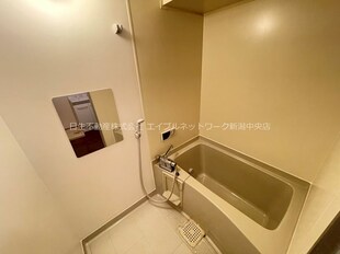 ユートピア三愛新島の物件内観写真